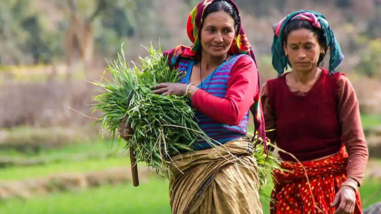 Agriculture