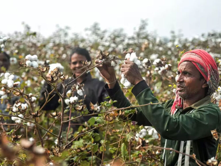 India to upgrade 300 Krishi Vigyan Kendras even as old gaps in staffing and funds remain